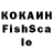 Галлюциногенные грибы Psilocybine cubensis Kalamburcheg