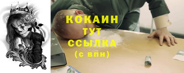 шишки Ханты-Мансийск