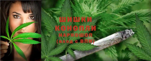 эйфоретик Зеленокумск